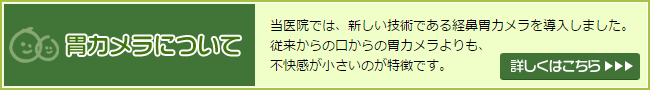 胃カメラ検査について